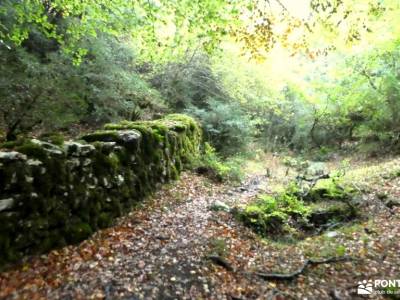 Valle Sakana-Sierras Navarra; el hayedo de montejo macizo de montserrat maladeta parque regional de 